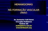 HEMANGIOMAS MÁ FORMAÇÃO VASCULAR (MAV)