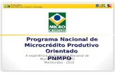 Programa Nacional de Microcrédito Produtivo Orientado PNMPO