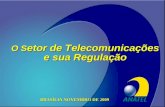 O S etor de Telecomunicações e sua Regulação