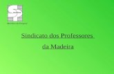 Sindicato dos Professores  da Madeira