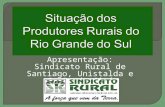 Situação  dos  Produtores Rurais  do Rio Grande do  Sul