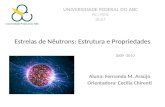 Estrelas de Nêutrons: Estrutura e Propriedades