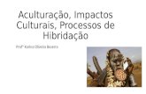 Aculturação, Impactos Culturais, Processos de  Hibridação