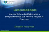 Um caminho estratégico para a competitividade das Micro e Pequenas Empresas Alexandre  Mac  Dowell
