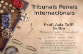 Tribunais Penais Internacionais