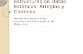 Estructuras de Datos Estáticas: Arreglos y Cadenas.