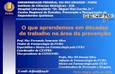 UNIVERSIDADE FEDERAL DO RIO GRANDE - FURG Instituto de Ciências Biológicas - ICB