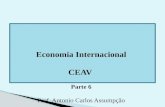 Economia Internacional CEAV  Parte 6 Prof. Antonio Carlos Assumpção