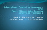 Universidade Federal do Amazonas – UFAM Prof. Eliezer Leão Gonzales DIREITO DO TRABALHO I