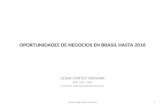OPORTUNIDADES DE NEGOCIOS EN BRASIL HASTA 2016