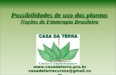 Possibilidades de uso das plantas Noções de Fitoterapia Brasileira