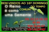 BEM-VINDOS  AO 16º  DOMINGO                                DO  TEMPO COMUM!