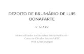DEZOITO DE BRUMÁRIO DE LUIS BONAPARTE