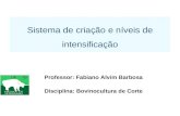 Professor: Fabiano Alvim Barbosa Disciplina: Bovinocultura de Corte