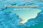 Biotecnologia no tratamento da água no Brasil