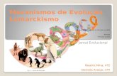 Mecanismos de Evolução Lamarckismo
