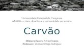 Universidade Estadual de Campinas AM020 – crises, desafios e a universidade necessária Carvão