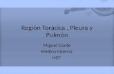 Región Torácica , Pleura y Pulmón