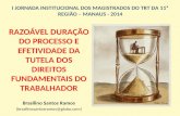 I JORNADA INSTITUCIONAL DOS MAGISTRADOS DO TRT DA 11ª REGIÃO – MANAUS - 2014