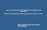 Julia Santos Nunes de Campos  2007030185