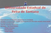 Universidade Estadual de Feira de Santana