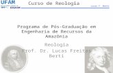Programa de Pós-Graduação em Engenharia de Recursos da Amazônia
