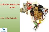 Culturas Negras no B rasil Prof. João Antonio
