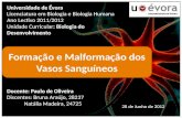 Universidade de Évora Licenciatura em Biologia e Biologia Humana Ano Lectivo 2011/2012