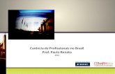 Carência de Profissionais no Brasil Prof.  Paulo Renato 2014