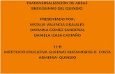 TRANSVERSALIZACIÓN DE AREAS  BREVISSIMAS DEL QUINDIO  PRESENTADO POR: NATALIA VALENCIA GRAJALES