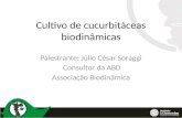 Cultivo de cucurbitáceas biodinâmicas