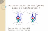 Apresentação de antígenos para os Linfócitos T