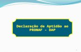 Declaração de Aptidão ao PRONAF - DAP