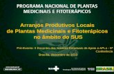 Arranjos Produtivos Locais  de Plantas Medicinais e Fitoterápicos  no âmbito do SUS