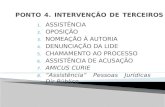 PONTO 4. INTERVENÇÃO DE TERCEIROS
