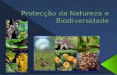 Protecção da Natureza e Biodiversidade