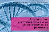 Os mosaicos cromossómicos e os seus quadros de patologia