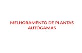 MELHORAMENTO DE PLANTAS AUTÓGAMAS