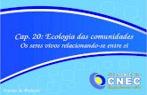Cap.  20: Ecologia das comunidades Os seres vivos relacionando-se entre si