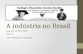 A indústria no Brasil Cap. 07- p. 99 a 102 Cap . 31