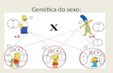 Genética do sexo: