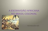A ESCRAVIDÃO AFRICANA NO BRASIL COLONIAL
