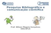 Prof. Wilson  Magela Gonçalves DAG/UFLA