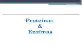 Proteínas  & Enzimas