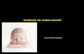 Avaliação do recém-nascido Renata  Rotella  Magalhães