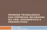 Patamar tecnológico das empresas incubadas na crie: diagnóstico e perspectivas