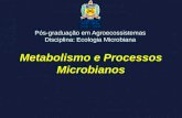 Metabolismo e Processos Microbianos