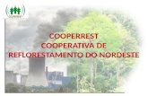 COOPERREST COOPERATIVA DE REFLORESTAMENTO DO NORDESTE