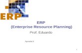 ERP  (Enterprise Resource Planning)