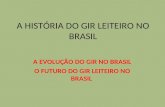 A HISTÓRIA DO GIR LEITEIRO NO BRASIL